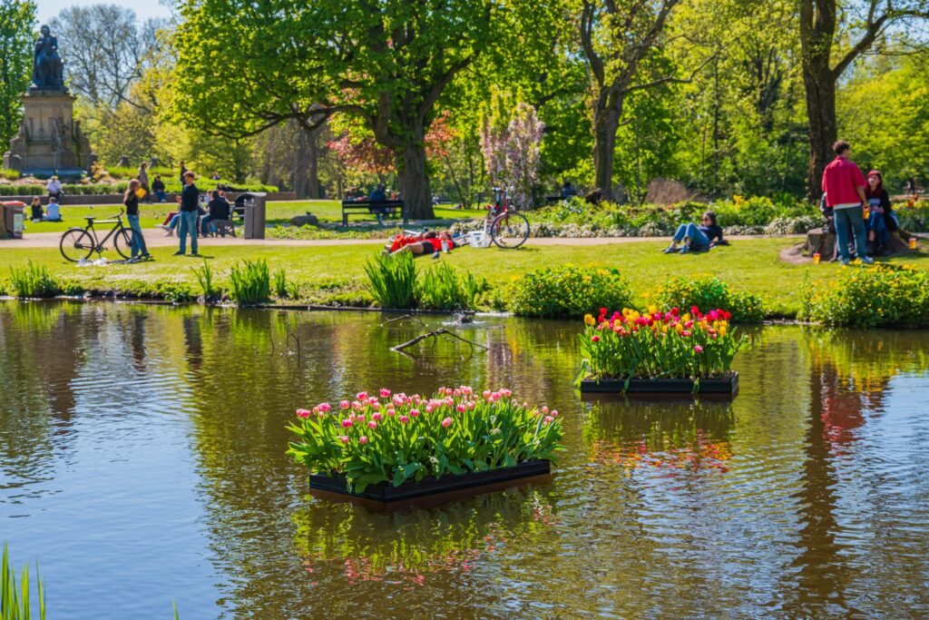 People relaxing by a pond with tulips in an Amsterdam park